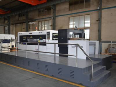 Automatic carton die cutting and creasing machine with stripping